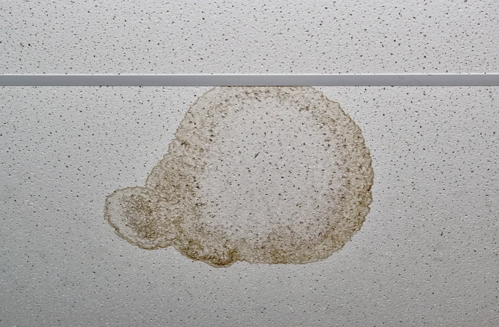 commercial roof leak repair