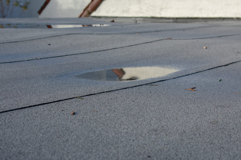 Ponding rainwater on flat roof after rain,  roof drainage and leak problem. Roof settling or sagging is result of framing issues, rotten or saturated sheathing
