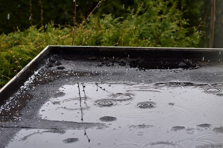 Light rain on a black flat roof after hail against a green hedge