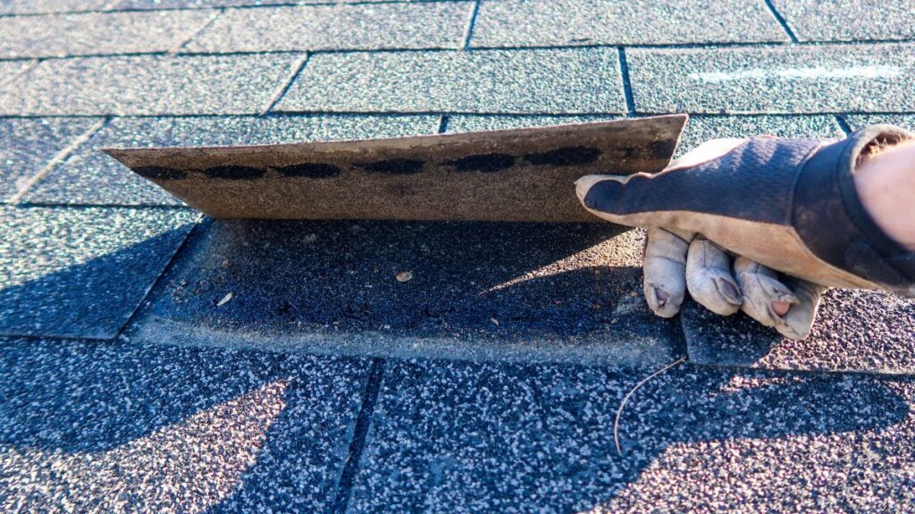 when should homeowners schedule a roof inspection in la crescent mn worker looking under shingle