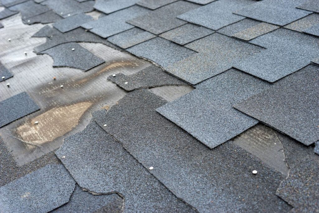 what signs of roof damage are common in la crosse wi homes shingles granule loss