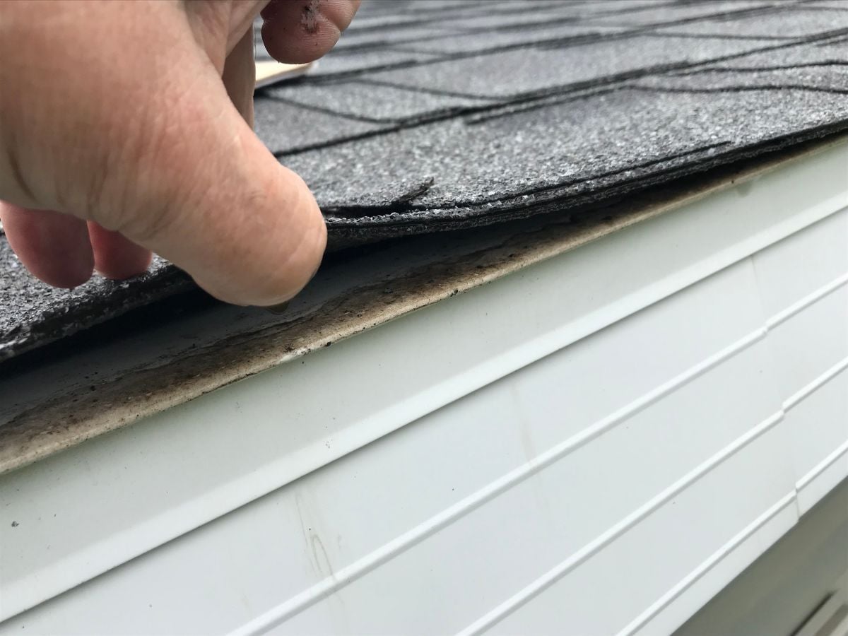 how often should a roof be inspected in sparta wi hand lifting roof shingles