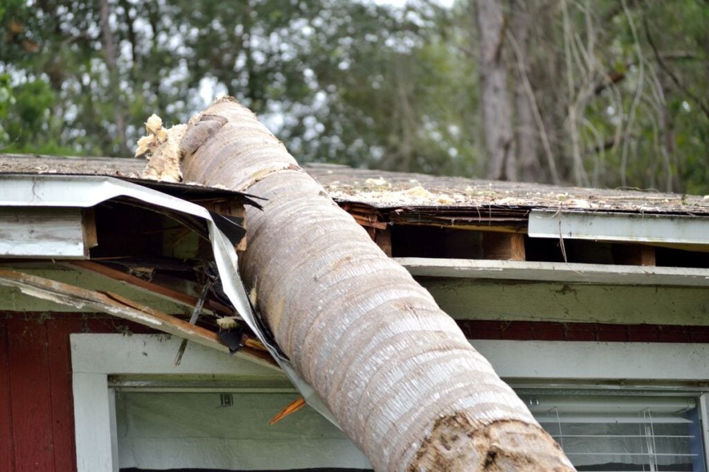 who provides emergency roof repair in eau claire wi tree log on top of destroyed roof