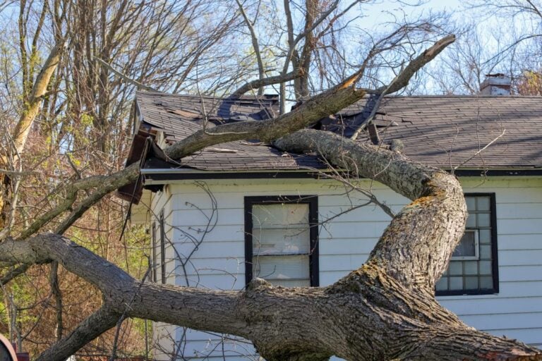 who provides emergency roof repair in eau claire wi tree fallen on top of roof